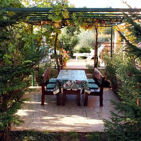 Family Friendly House With A Swimming Pool Orihi, Istria - Sredisnja Istra - 7492 * Barban