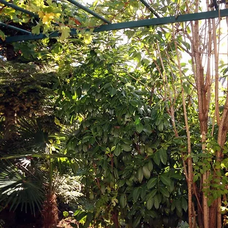 Σπίτι διακοπών Family Friendly House With A Swimming Pool Orihi, Istria - Sredisnja Istra - 7492 *